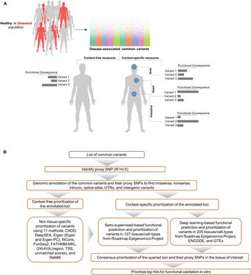 Cell Type-Specific Annotation and Fine Mapping of Variants Associated With Brain Disorders